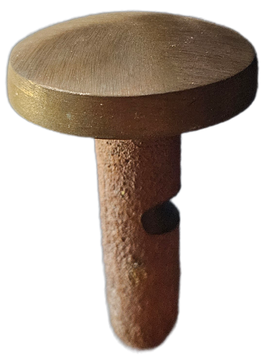 2" Brass Survey Marker